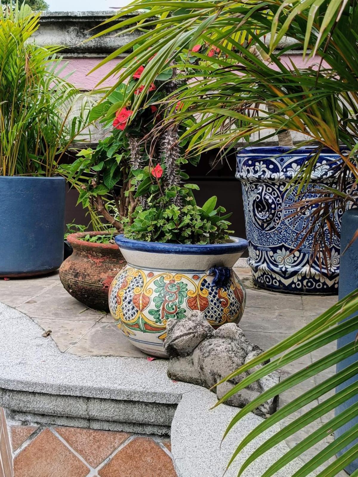 Apartamento El Rincon De Paula Cuernavaca Exterior foto